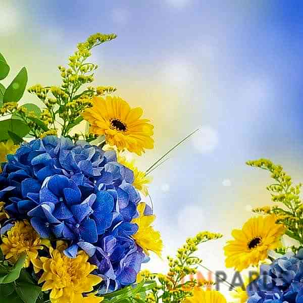 flowers801