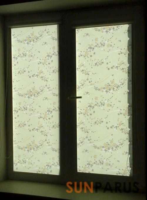 sakura-bezh1