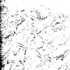 ШЁЛК BLACK-OUT 0225 белый 200см